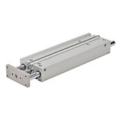 Пневматический цилиндр: двойной направляющий стержень, диаметр отверстия 25 мм, ход 250 мм (PN# E25M250MD-M)