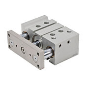 Пневматический цилиндр: двойной направляющий стержень, диаметр отверстия 40 мм, ход 25 мм (PN# E40M025MD-M)