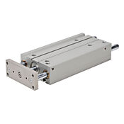 Пневматический цилиндр: двойной направляющий стержень, диаметр отверстия 50 мм, ход 250 мм (PN # E50M250MD-M)