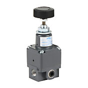 Пневматический регулятор: регулируемый диапазон 0,7-30 фунтов на квадратный дюйм (PN # ER-911)