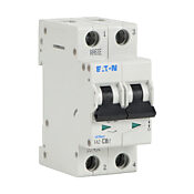 Миниатюрная дополнительная защита: 30A, кривая C (PN# FAZ-C30-2)