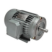 Асинхронный двигатель переменного тока мощностью 20 л.с.: чугун, 256TC, 1800 об/мин