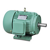 Высокоэффективный двигатель переменного тока: общего назначения, 5 л.с. (PN# MTCP-005-3BD36)