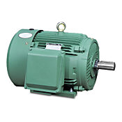 Высокоэффективный двигатель переменного тока: общего назначения, 20 л.с. (PN# MTCP-020-3BD12)