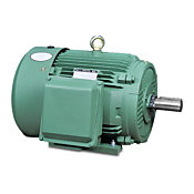 Высокоэффективный двигатель переменного тока: общего назначения, 30 л.с. (PN# MTCP-030-3BD18)