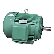 Высокоэффективный двигатель переменного тока: общего назначения, 40 л.с. (PN# MTCP-040-3BD18)