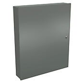 Корпус: 36 x 30 x 6 дюймов, настенное крепление, углеродистая сталь (PN# N1C303606LP)