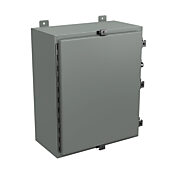 Корпус: 24 x 20 x 10 дюймов, настенное крепление, углеродистая сталь (PN# N4242010)