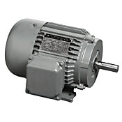 Высокопроизводительный двигатель переменного тока: общего назначения, 250 л.с. (PN# MTC-250-3D18)