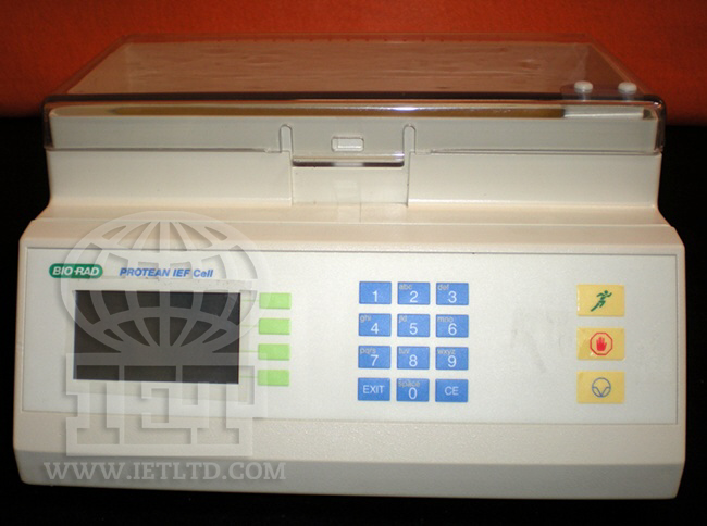 Протеанская ячейка IEF