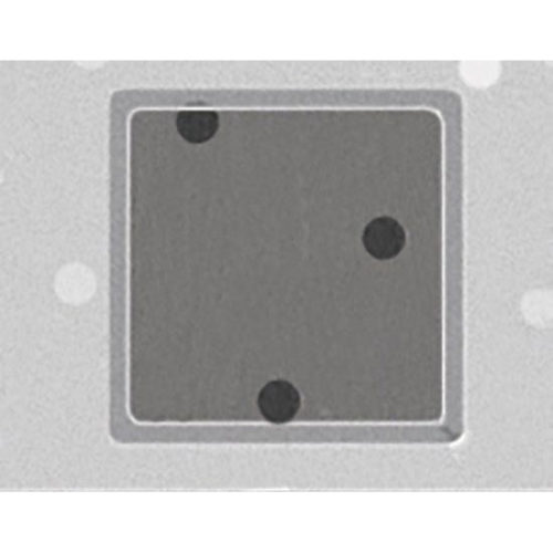 Quantifoil R 5/20 holey carbon film coated grids