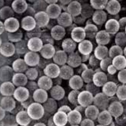 Functionalised superparamagnetic particles