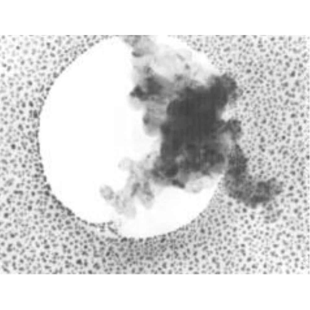 Калибровочный образец для ТЭМ, золото и графитированный углерод