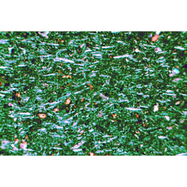 3B Scientific™ Rocks and Minerals, базовый набор № 1