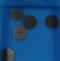 0100-2050- Диск распределителя, нержавеющая сталь 316, 5 шт./уп.