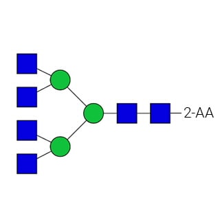 GKSA-309- AdvanceBio 2-AA A4 Стандарт N-гликана (ранее ProZyme). N-гликан (асиало-, агалакто-, тетраантеннарный), меченный 2-аминобензойной кислотой (2-АА, также известный как антраниловая кислота), для использования в качестве качественного стандарта в таких приложениях, как жидкостная хроматография (ЖХ). Альтернативное название гликана: NGA4.