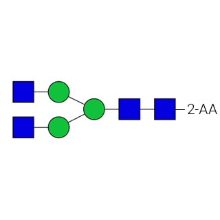 GKSA-301- AdvanceBio 2-AA G0/A2 стандарт N-гликанов (ранее ProZyme). N-гликан (асиало, агалакто-биантенный комплекс), меченный 2-аминобензойной кислотой (2-АА, также известный как антраниловая кислота), для использования в качестве качественного стандарта в таких приложениях, как жидкостная хроматография (ЖХ). Альтернативные названия гликанов: NGA2.