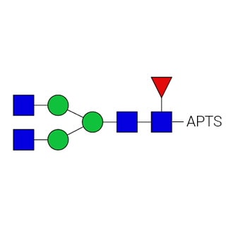 GKSP-302- AdvanceBio APTS G0F / FA2 N-glycan standard (formerly ProZyme). N-glycan (asialo-, agalacto-, biantennary, core-substituted with fucose) labeled with 8-aminopyrene-1,3,6-trisulfonate (APTS), for use as a qualitative standard in applications such as capillary electrophoresis (CE). Alternative glycan names: F(6)A2, NGA2F.