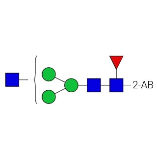 GKSB-402- AdvanceBio 2-AB G0F-N/FA1 Стандарт N-гликанов (ранее ProZyme). N-гликан (асиало-, агалакто-, биантенный комплекс N-гликан-1 N-ацетилглюкозамин и с ядром фукозы), меченный 2-аминобензамидом (2-AB), для использования в качестве качественного стандарта в таких приложениях, как жидкостная хроматография (ЖХ). ). Альтернативные названия гликанов: G0F-GlcNAc, G0F-GN, F(6)A1, NGA2F-N.