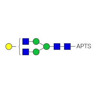 GKSP-317- AdvanceBio APTS G1 / A2G1 N-Glycan Standard (formerly ProZyme). N-glycan (asialo-, mono-galactosylated biantennary) labeled with 8-aminopyrene-1,3,6-trisulfonate (APTS) for use in applications such as capillary electrophoresis (CE). Alternative glycan name: A2G(4)1, G1-F, NA2G1.