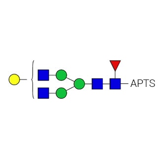 GKSP-316- AdvanceBio APTS G1F/FA2G1 Стандарт N-гликанов (ранее ProZyme). N-гликан (асиало-, моногалактозилированный биантеннарный, ядро замещено фукозой), меченный 8-аминопирен-1,3,6-трисульфонатом (APTS), для использования в качестве качественного стандарта в таких приложениях, как капиллярный электрофорез (КЭ) . Альтернативные названия гликанов: F(6)A2G(4)1, NA2G1F.