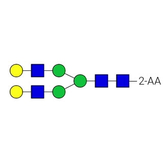 GKSA-304- AdvanceBio 2-AA G2 / A2G2 N-glycan standard (formerly ProZyme). N-glycan (asialo, galactosylated biantennary complex N-glycan) labeled with 2-aminobenzoic acid (2-AA, also known as anthranilic acid), for use as a qualitative standard in applications such as liquid chromatography (LC). Alternative glycan names: A2G(4)2, NA2.