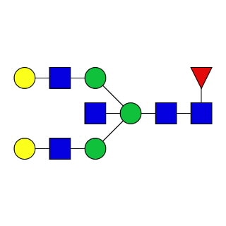 GKC-024311- AdvanceBio G2FB / FA2BG2 N-glycan standard (formerly ProZyme). N-glycan (asialo-, galactosylated biantennary complex, core-substituted with fucose and with bisecting GlcNAc). Qualitative standard for glycan identification. Alternative glycan names: F(6)A2BG2, F(6)a2BG(4)2, NA2FB.