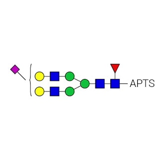 GKSP-315- AdvanceBio APTS G2FS1 α(2,6) / FA2G2S(6)1 Стандарт N-гликана (ранее ProZyme). N-гликан (моно-α(2,6)-сиалилированный, галактозилированный биантеннарный, с ядром, замещенным фукозой), меченный 8-аминопирен-1,3,6-трисульфонатом (APTS), для использования в качестве качественного стандарта в таких приложениях, как капиллярный электрофорез (КЭ). Альтернативные названия гликанов: F(6)A2G(4)2S(6)1, FA2G2S1, A1F.