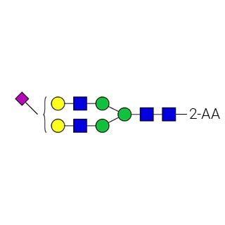 GKSA-311- AdvanceBio 2-AA G2S1 α(2,6)/A2G2S(6)1 стандарт N-гликана (ранее ProZyme). N-гликан (моносиалилированный, галактоилированный биантеннарный), меченный 2-аминобензойной кислотой (2-АК, также известный как антраниловая кислота), для использования в качестве качественного стандарта в таких приложениях, как жидкостная хроматография (ЖХ). Альтернативные названия гликанов: A2G2S1, A2G(4)2S(6)1, A1.