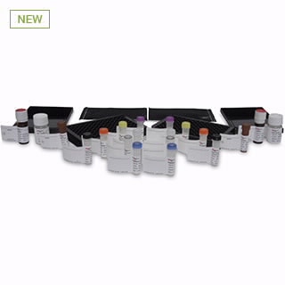 GS96-SAQ- AdvanceBio Total Sialic Acid Quantitation kit, 96-ct (formerly ProZyme). Rapid quantitation of total sialic acid by fluorescence or absorbance detection, either free or released from intact glycoproteins. Automatable, 96-well microplate format with fluorescence detection. Broad range of detection, 40 pmol - 1,000 pmol. Sample digestion, conversion, detection and quantitation may be performed in a single well for fast and simple processing. Enzymatic cleavage allows rapid analysis (~75 minutes or less) with minimal, degradation of sialic acid.