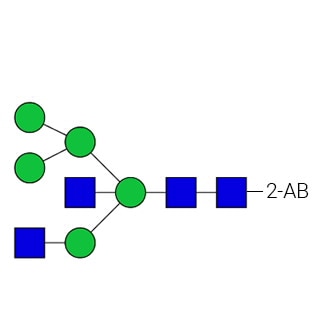 GKSB-111- AdvanceBio 2-AB HYBR/M5A1B Стандарт N-гликана (ранее ProZyme). N-гликан гибридного типа, меченный 2-аминобензамидом (2-AB), для использования в качестве качественного стандарта в таких приложениях, как жидкостная хроматография (ЖХ). Альтернативные названия гликанов: гибрид, Man5A1B, M5A1B.