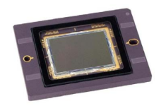 CRKK122 — ON Semi KAI-08051-ABA — монохромный ПЗС-датчик 3296 x 2472 4/3