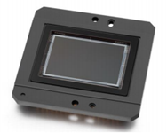 CRKK114 — ON Semi KAI-16050-A — 4896 x 3264, монохромная ПЗС-матрица 32,36 мм