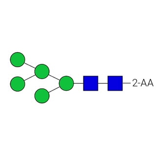 GKSA-103- AdvanceBio 2-AA Man5/M5 Стандарт N-гликанов (ранее ProZyme). N-гликан (олигоманноза 5), меченный 2-аминобензойной кислотой (2-АА), также известной как антраниловая кислота, для использования в качестве качественного стандарта в таких приложениях, как жидкостная хроматография (ЖХ).
