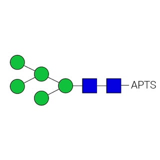 GKSP-103 - стандарт AdvanceBio APTS Man5/M5 N-гликанов (ранее ProZyme). N-гликан (олигоманноза 5), меченный 8-аминопирен-1,3,6-трисульфонатом (APTS), для использования в качестве качественного стандарта в таких приложениях, как капиллярный электрофорез (КЭ).