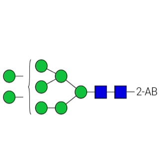 GKSB-106- AdvanceBio 2-AB Man8 / M8 N-glycan standard (formerly ProZyme). N-glycan (oligomannose 8) labeled with 2-aminobenzamide (2-AB), for use as a qualitative standard in applications such as liquid chromatography (LC). Alternative glycan names: Man8, M8.