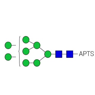 GKSP-106 - стандарт AdvanceBio APTS Man8/M8 N-гликанов (ранее ProZyme). N-гликан (олигоманноза 8), меченный 8-аминопирен-1,3,6-трисульфонатом (APTS), для использования в качестве качественного стандарта в таких приложениях, как капиллярный электрофорез (КЭ).