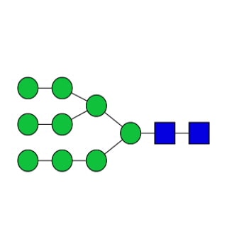 GKM-002900 — стандарт AdvanceBio Man9/M9 N-гликанов (ранее ProZyme). N-гликан (олигоманноза 9). Качественный стандарт для идентификации гликанов.