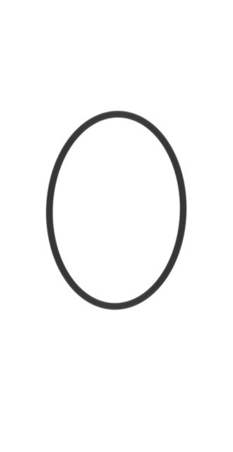 Запасное уплотнительное кольцо Micro Motion 1700/2700