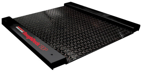 Rice Lake RoughDeck BDP Floor Scale