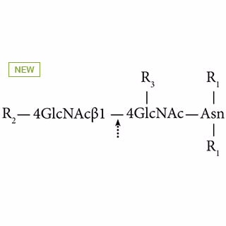 GKE-5008- AdvanceBio Endo F2, рекомбинантный (ранее ProZyme). Фермент расщепляет хитобиозное (GlcNAc-GlcNAc) ядро N-гликанов с высоким содержанием маннозы и двуантенных комплексов. Включает 5-кратный реакционный буфер, который при разбавлении дает 200 мМ ацетата натрия, pH 4,5.