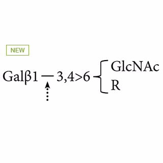 GKX-5013- β(1-3,4)-Galactosidase (bovine testis) (formerly ProZyme). Enzyme hydrolyzes nonreducing terminal galactose β(1-3) and β(1-4) linkages. Can be used with other β-galactosidases for exoglycosidase sequencing. Includes 5x reaction buffer (500 mM sodium citrate/phosphate pH 4.0).