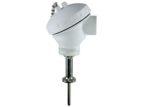 EH iTHERM TM402 Hygienic Thermometer