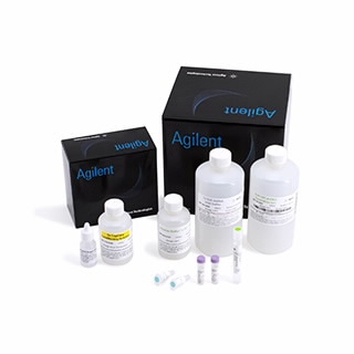 ЗАГ-105-5000 РУО-ЗАГ 105 Набор дцДНК (1-500 п.н.), 5000. Системный набор ZAG DNA Analyser для генотипирования и качественного анализа ПЦР-ампликонов от 35 до 500 п.о. Включает реагенты, необходимые для анализа 5000 проб.