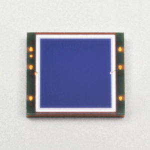 Infrared photodiode S16008-66