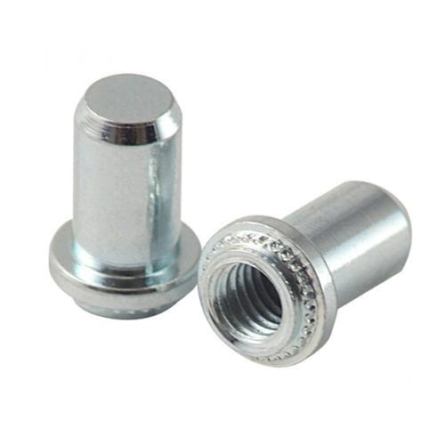 Цилиндрическая гайка серии BS с резьбой inox