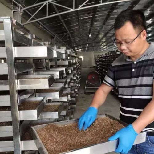 Завод по переработке пищевых отходов бытовойпромышленныймуниципальный твердый