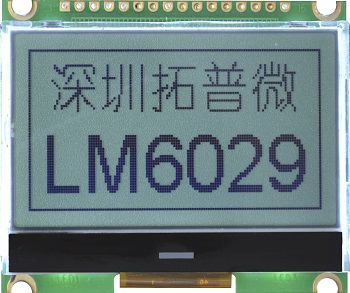 LCD module LM6029ACW-Agraphicmonochromedot-matrix