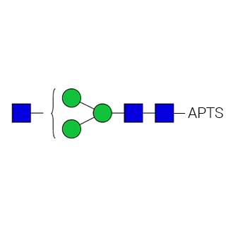GKSP-401- AdvanceBio APTS G0-N/A1 Стандарт N-гликанов (ранее ProZyme). N-гликан (асиало-, агалакто-, биантеннарный -1 N-ацетилглюкозамин), меченный APTS, для использования в качестве качественного стандарта в таких приложениях, как капиллярный электрофорез (КЭ). Альтернативное название гликана: G0-GlcNAc, G0-GN, NGA2-N.