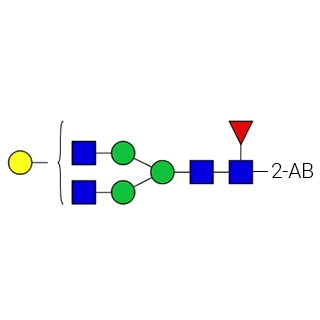 GKSB-316- AdvanceBio 2-AB G1F / FA2G1 N-glycan standard (formerly ProZyme). N-glycan (asialo, monongalactosylated biantennary core substituted with fucose labeled with 2-aminobenzamide (2-AB), for use as a qualitative standard in applications such as liquid chromatography (LC). Alternative glycan names:F(6)A2G1, NA2G1F.